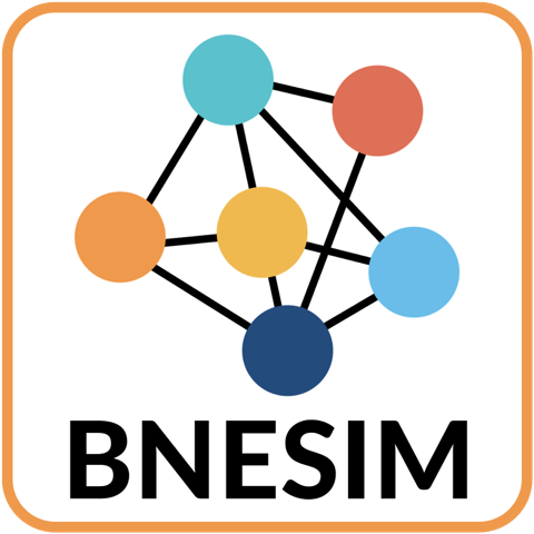 bnesim logo